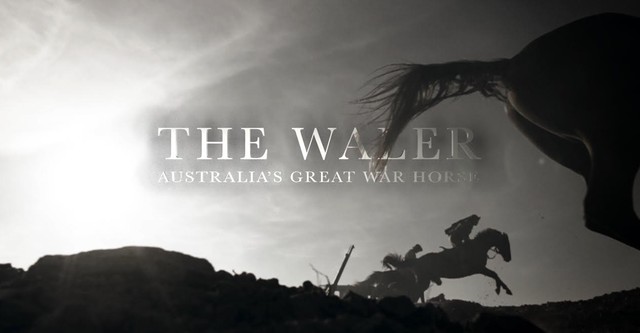 The Waler: Australia's Great War Horse