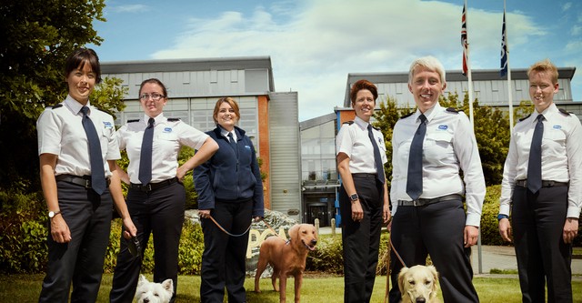 Animal Rescue School