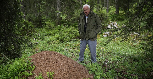 Attenborough and the Empire of the Ants