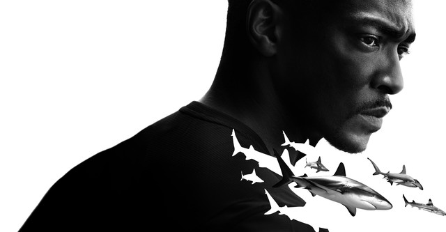 Der Strand der Haie mit Anthony Mackie: Golfküste