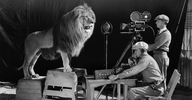 MGM: When the Lion Roars