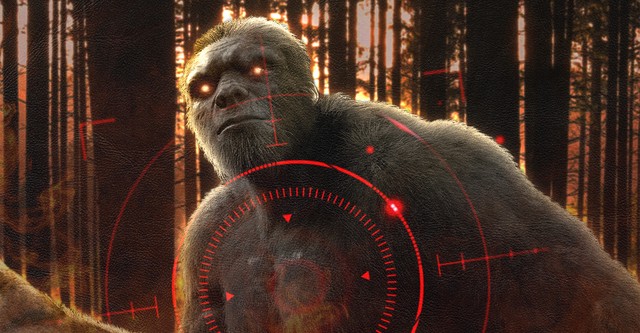 Bigfoot Hunted