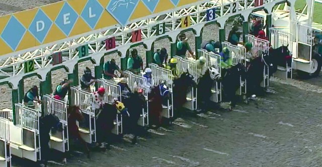 Stable Wars: Del Mar
