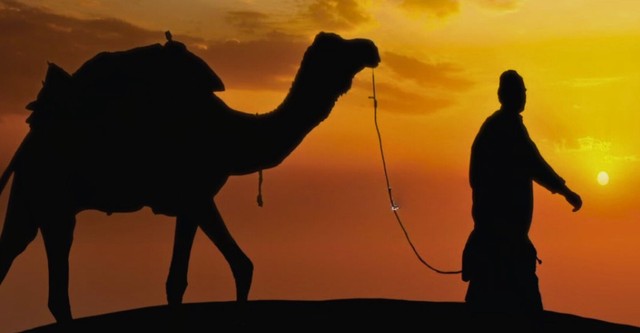 A Tree Without Roots