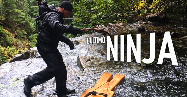 L'ultimo Ninja