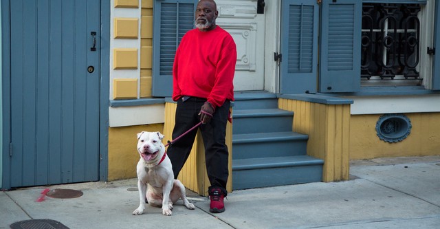 Pit Bulls and Parolees