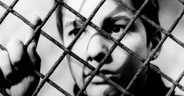 The 400 Blows