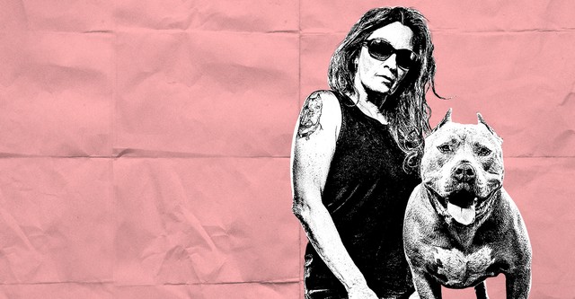 Pit Bulls and Parolees