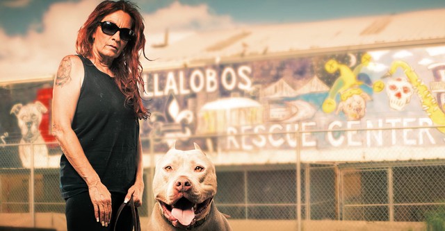 Pit Bulls and Parolees