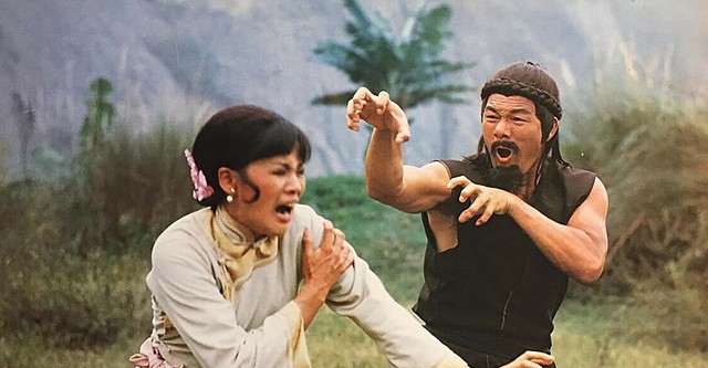 The Crane Fighter