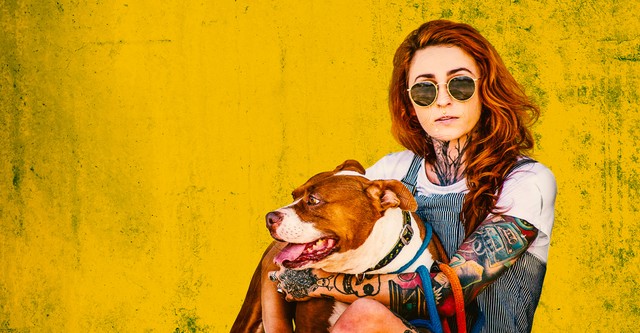 Pitbulls auf Bewährung