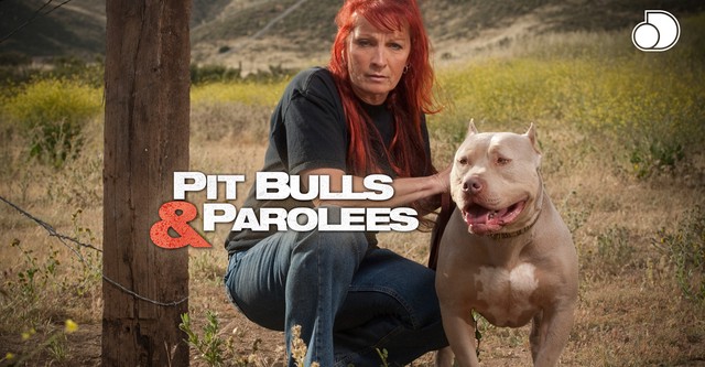 Pit Bulls and Parolees