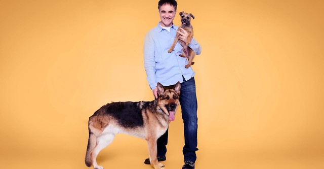 The Supervet: Noel Fitzpatrick
