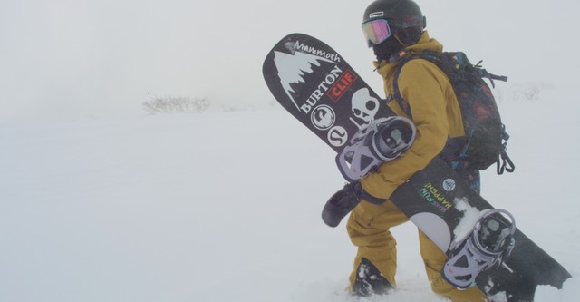 Butterfly in a Blizzard