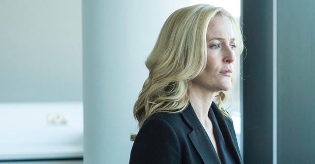 THE FALL 警視ステラ・ギブソン