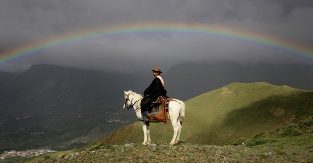 Talking to the Air: The Horses of the Last Forbidden Kingdom