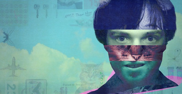 The Curious Case of...