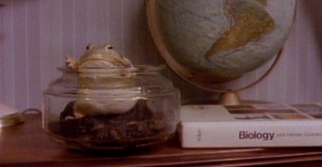 Frog
