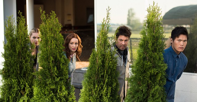 The Librarians