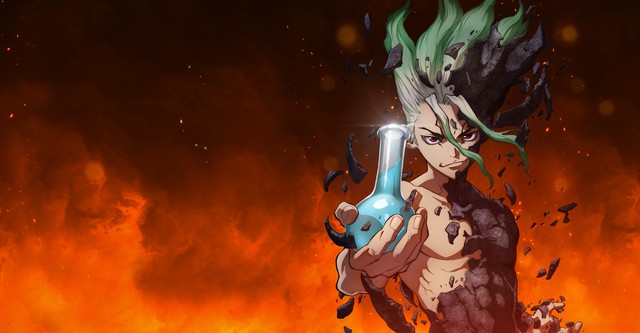 Dr. Stone