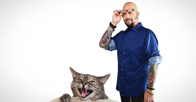 Hell's Cats