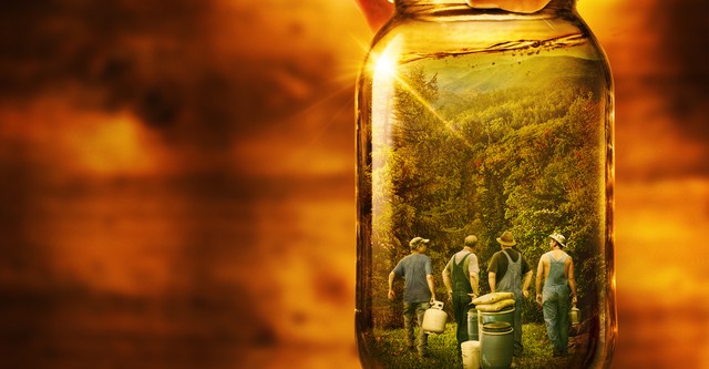 Alcool de contrebande