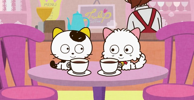 タマ&フレンズ うちのタマ知りませんか?