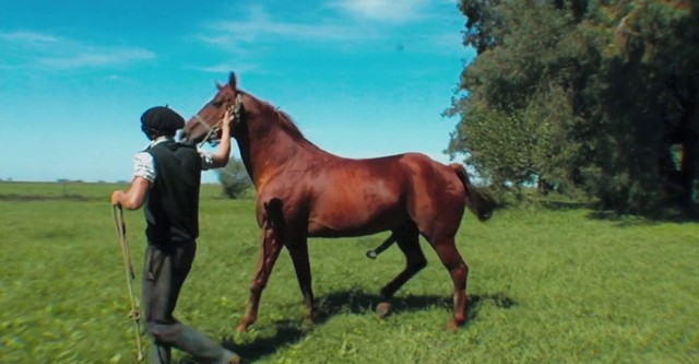 Jackass deux, le film