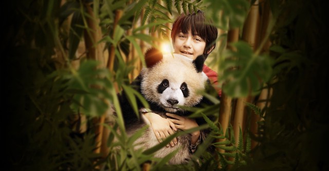 Moon, der Panda