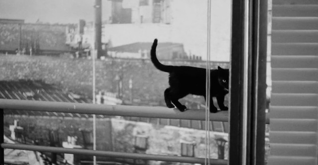 Ασανσέρ για Δολοφόνους