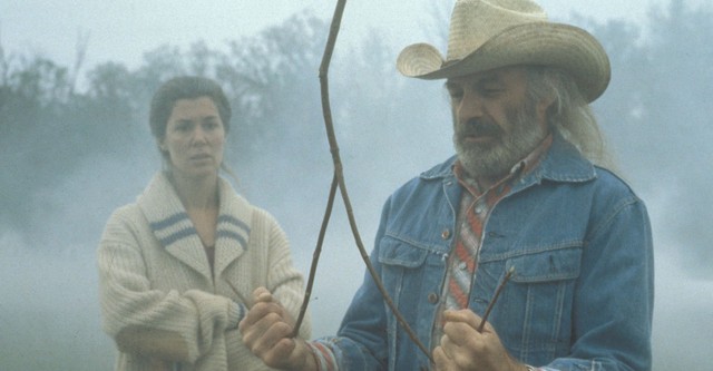 The Diviners