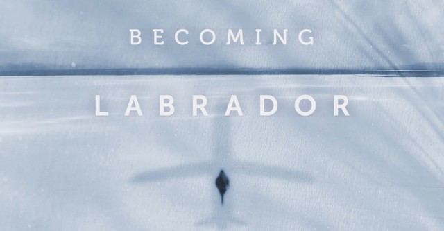 Becoming Labrador
