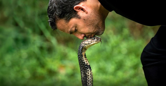 David Blaine: Taikuuden takana
