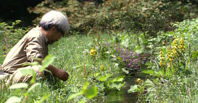 Miyazaki: el rey del anime