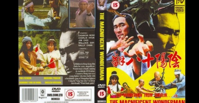 Magnificent Wonderman