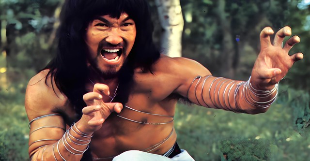 Cantonen Iron Kung Fu