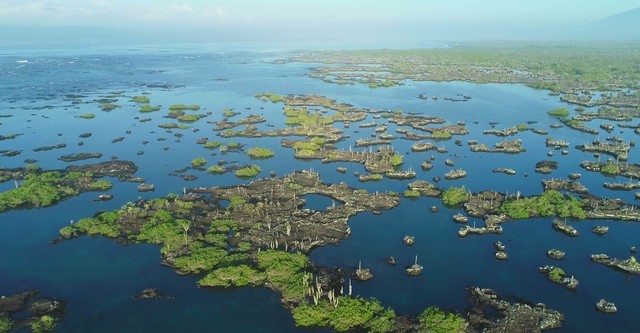 Galapagos