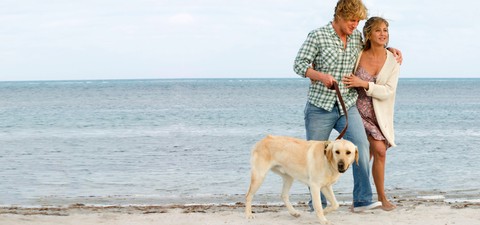 Tutti i migliori film sui cani e dove guardare ogni titolo in streaming