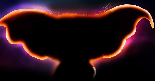 Gremlins: Secrets of the Mogwai
