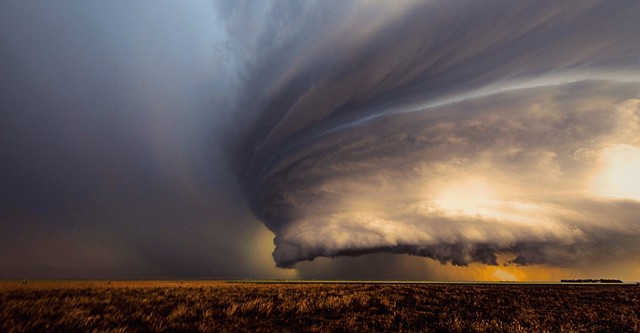 Wild Sky