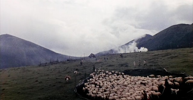 Los corceles de fuego