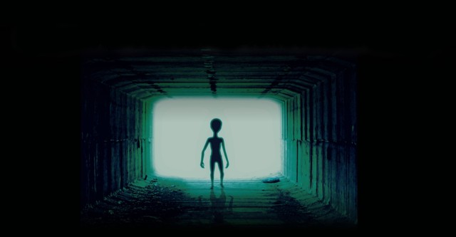 Nacht der Skinwalker