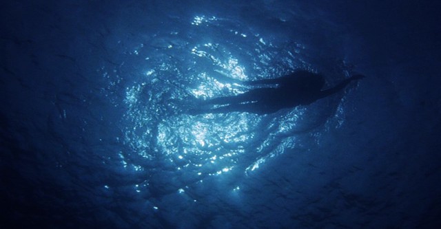 "Les dents de la mer", l'histoire d'un succès monstre