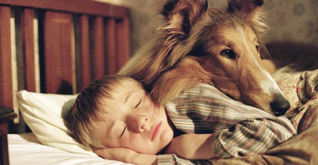 Lassie kehrt zurück
