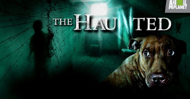 Paranormal Activity