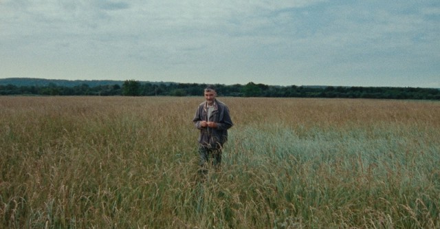 7 Walks with Mark Brown