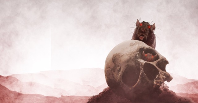 スティーヴン・キング／地下室の悪夢