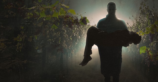 Dead on the Vine