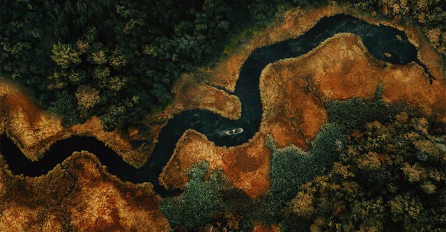 Swamp People: Serpent Invasion