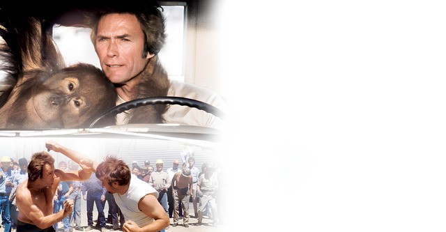 Mies San Fernandosta